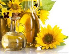 葵花籽油走俏市場，食用油灌裝機擔任新使者