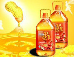 食用油灌裝機(jī)灌裝